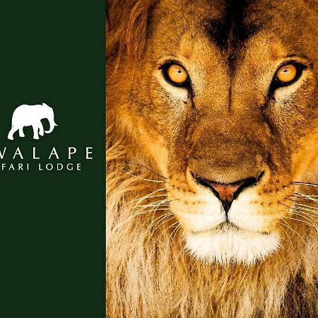 Kwalape Safari Lodge Kasane Exterior photo