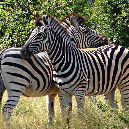 Kwalape Safari Lodge Kasane Exterior photo