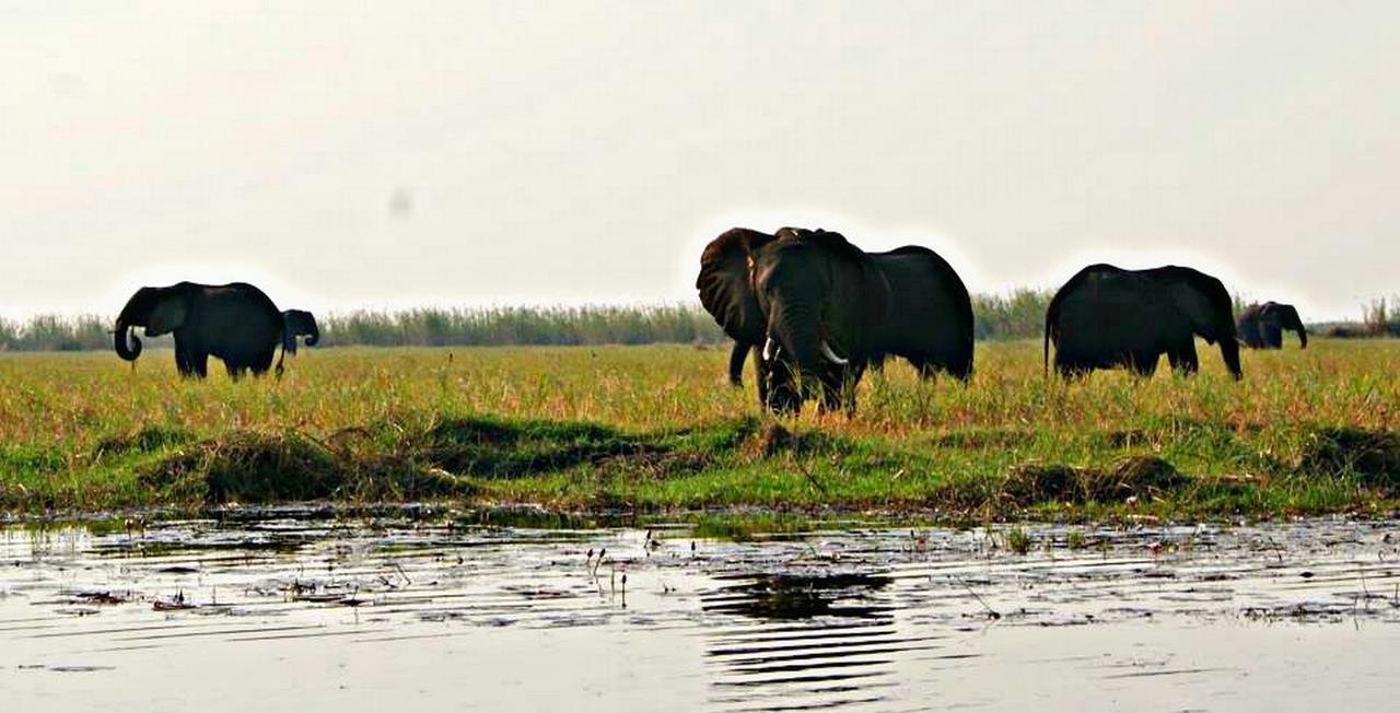 Kwalape Safari Lodge Kasane Exterior photo